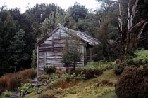 Du Cane Hut am Overland Track